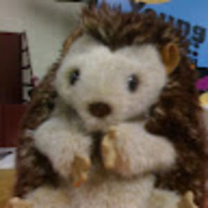 Meet your Posher, Kim